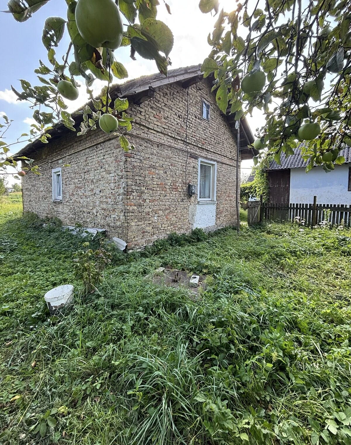 Будинок, Білий Камінь: ділянка 80 соток, гараж із підвалом - фото 2