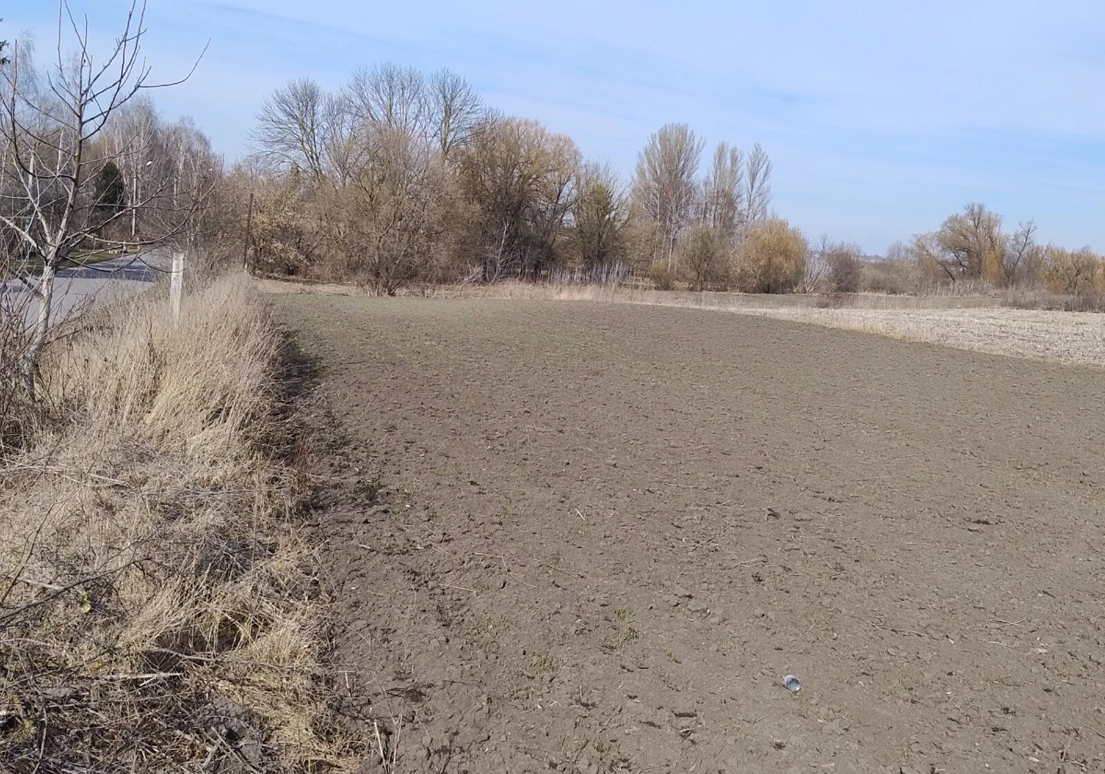 Ділянка 38 соток, Новоставці: під житлову забудову, фундамент, чорнозем