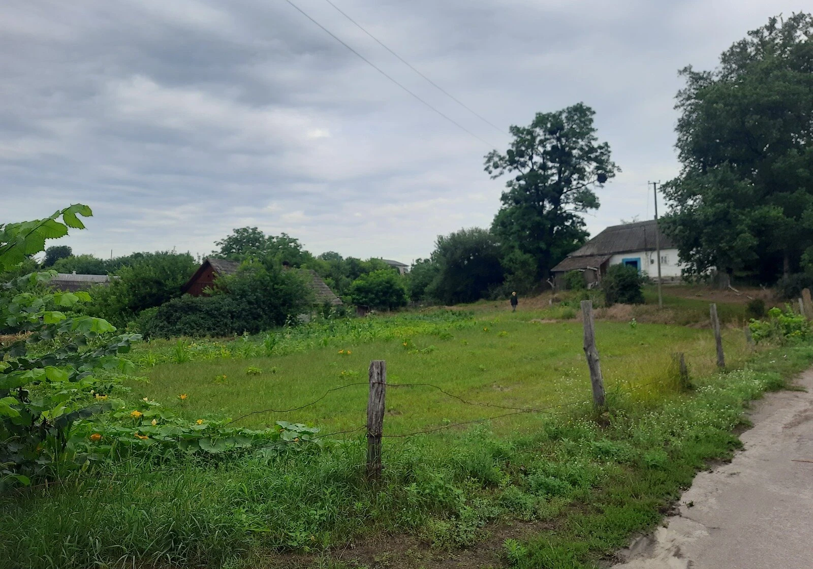 Ділянка 25 соток, Левків: під житлову забудову, торг можливий - фото 1