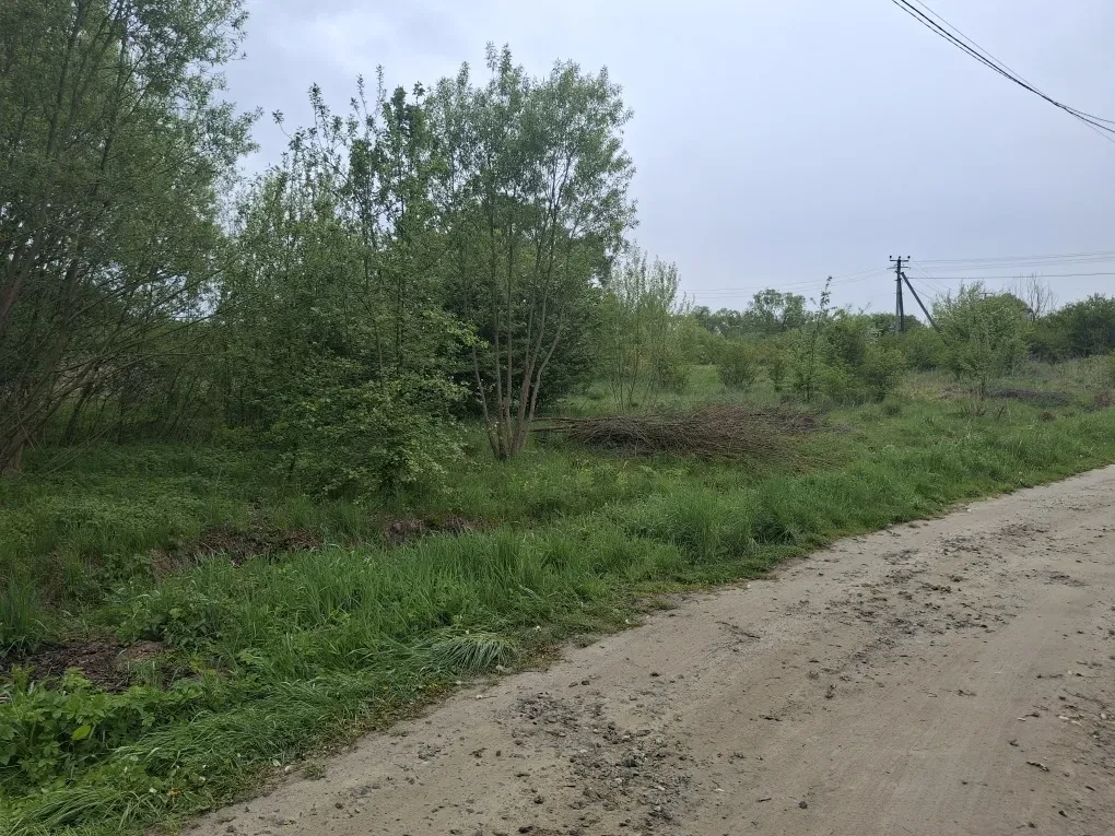 Ділянка 10 соток, Солуки: 500 м від траси Львів-Краковець, торг - фото 3