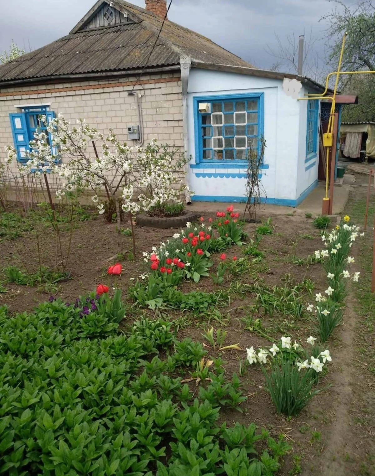 Дом, Петрово: веранда, 31 сотка, сад и хозпостройки - фото 1