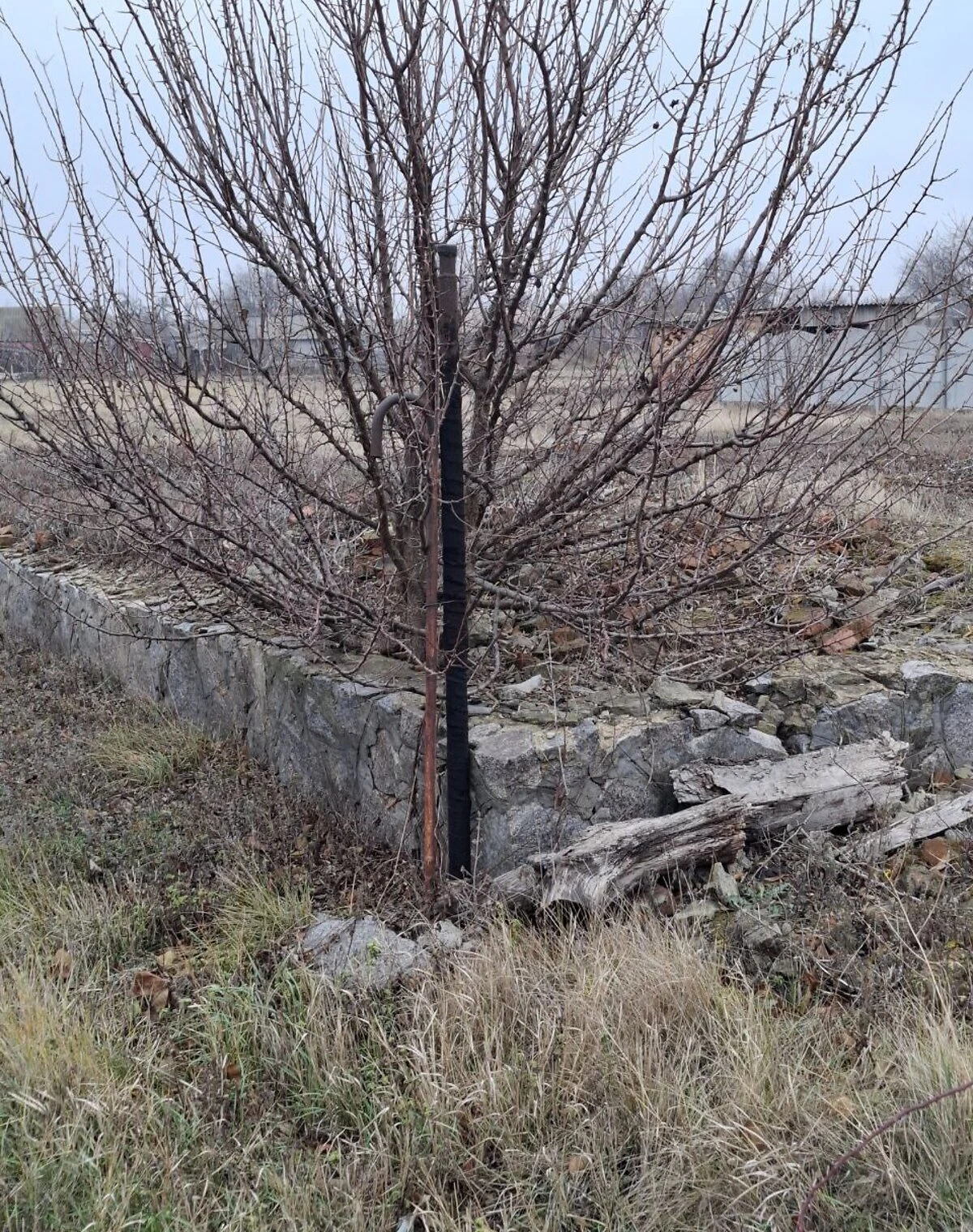 Участок 34 сотки, Новая Галещина: под жилую застройку, торг, фото 2