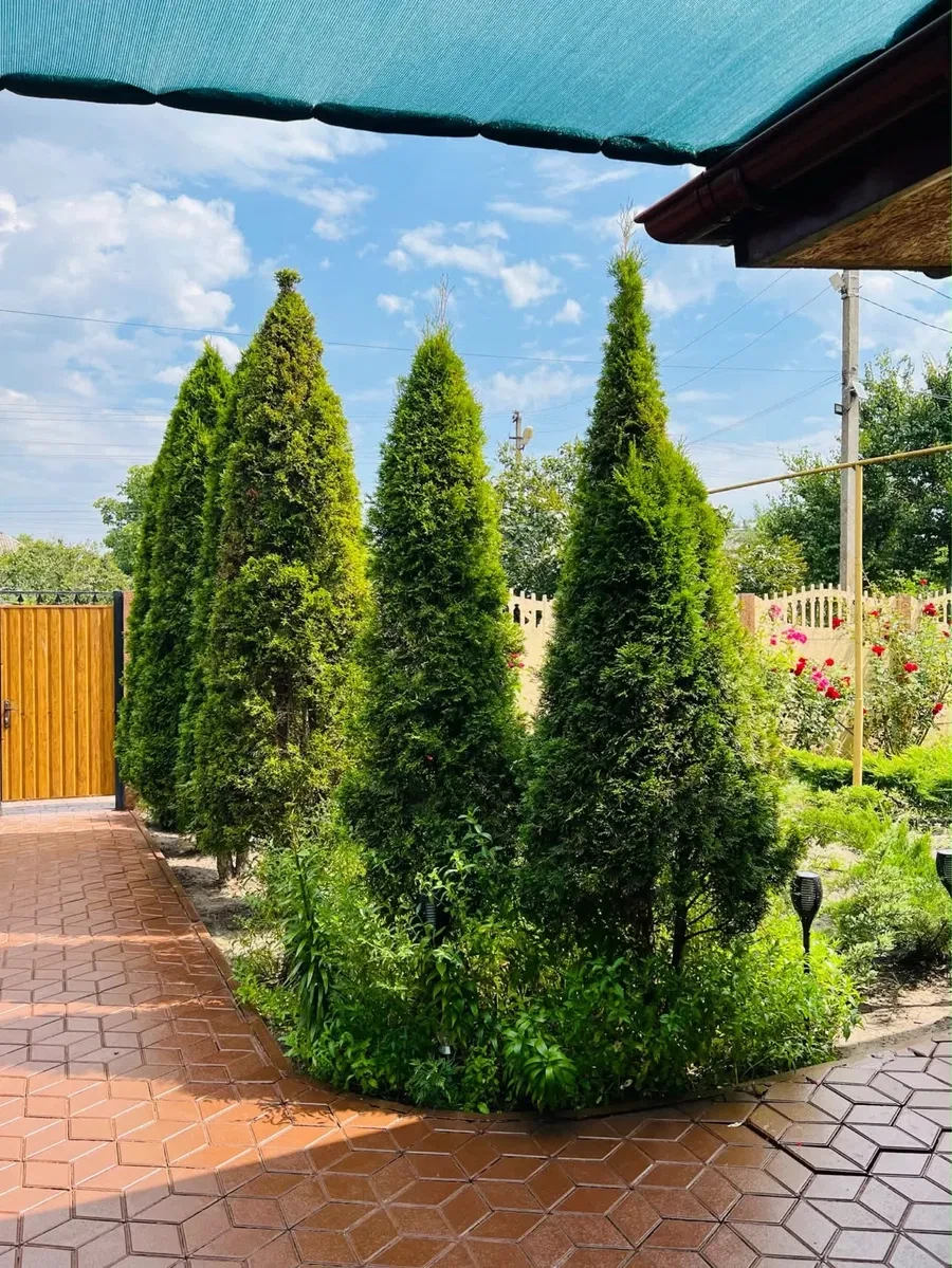 Будинок, Орлівщина: євроремонт, 30 соток, генератор, фото 2