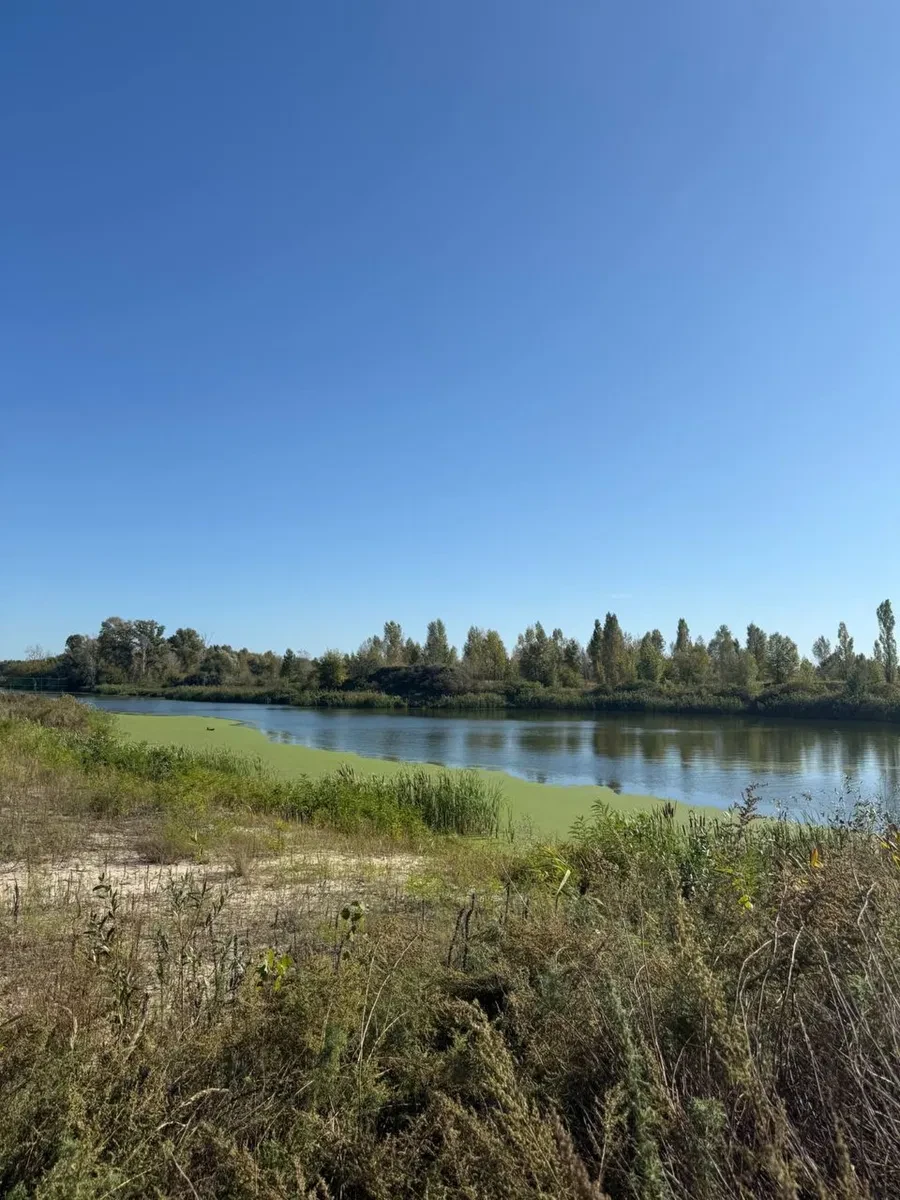 Ділянка 15 соток, Вишеньки: житлова й суспільна забудова, озеро за 1 км - фото 1