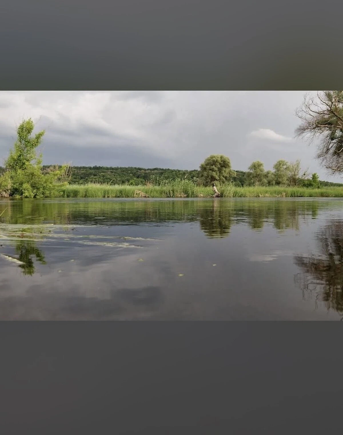 Участок 25 соток, Черкасский Бишкин: под жилую застройку, фото 1
