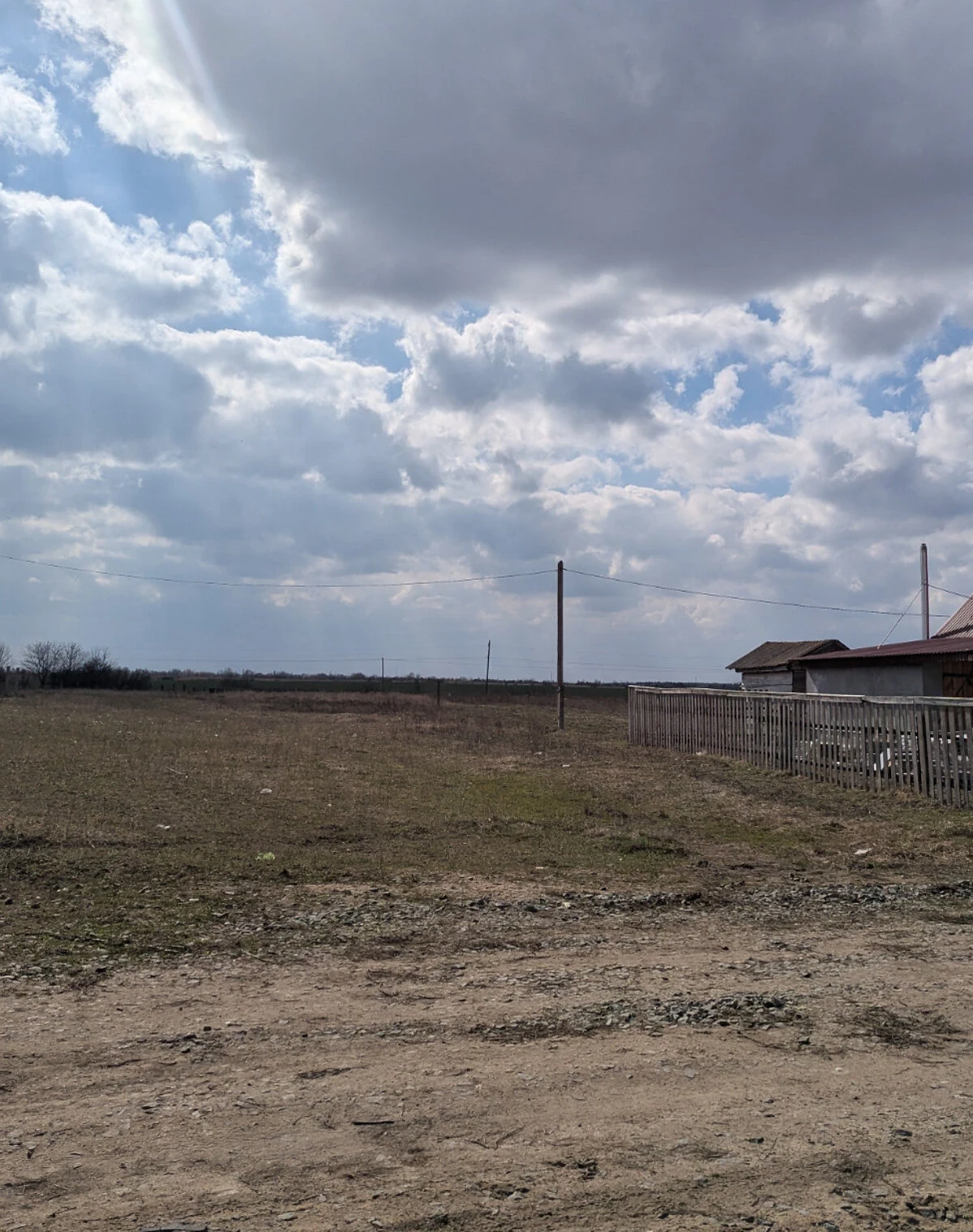 Ділянка 10 соток, Черняхів: під житлову забудову, чорнозем - фото 3