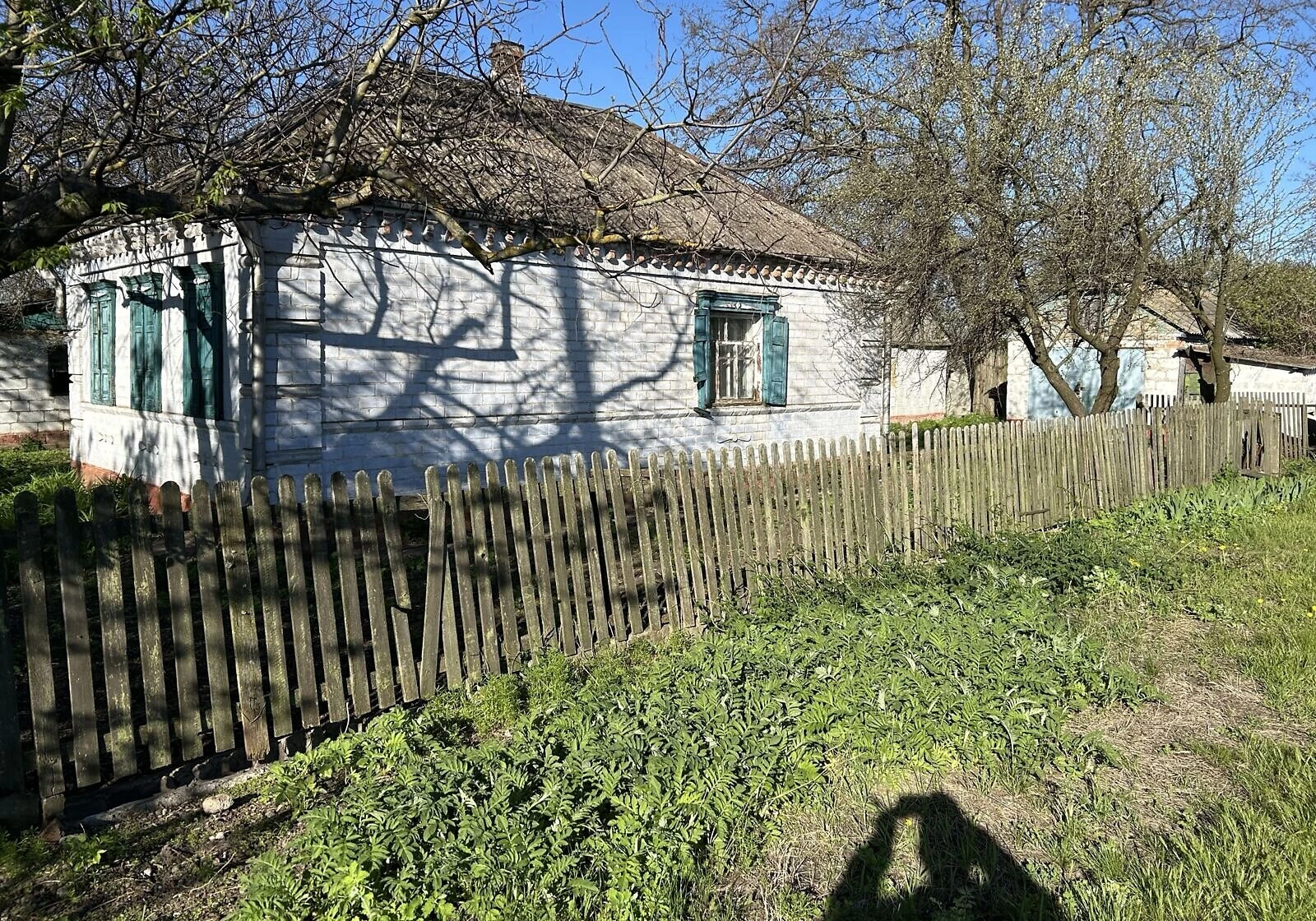 Будинок, Улянівка (Кринички): дача, господарські будівлі, фото 3