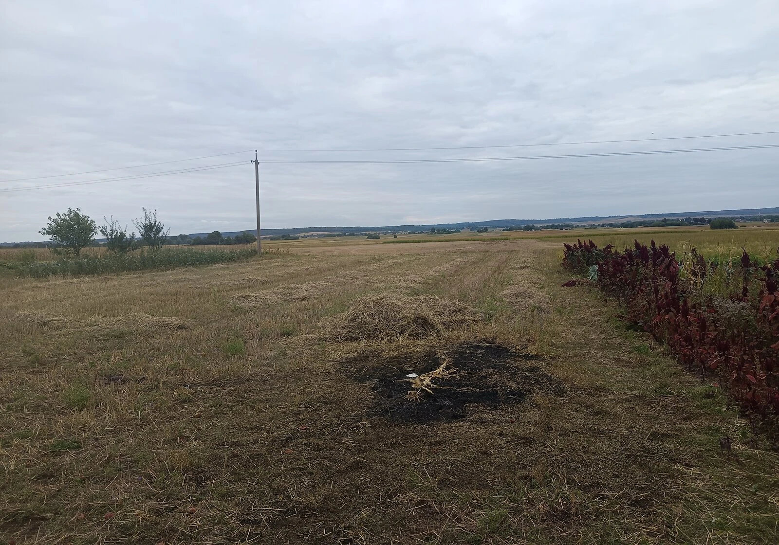 Будинок, Молодіжне: веранда, криниця, газове опалення - фото 5