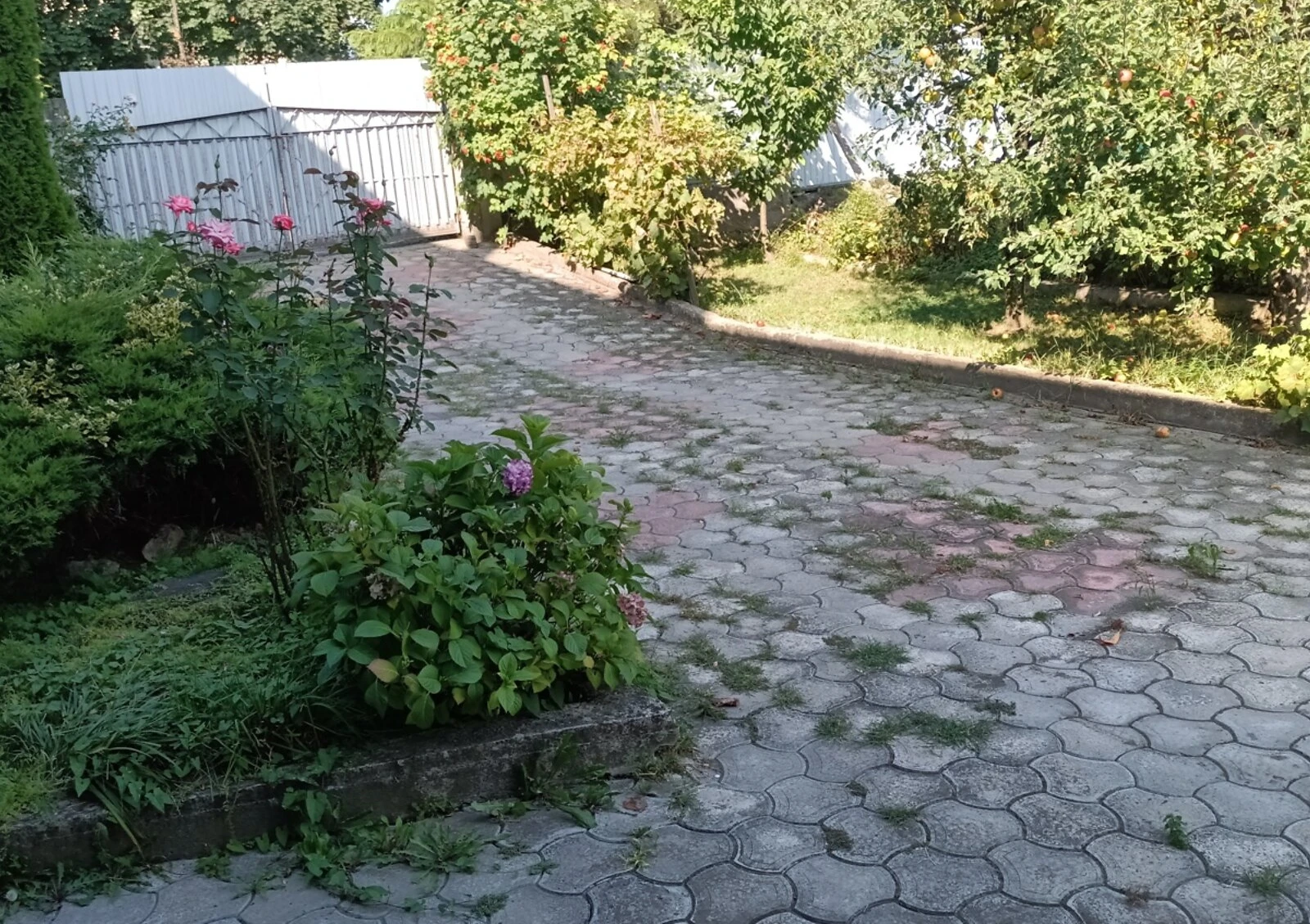 5-кімнатна квартира, Центр: кухня-студія, тераса, євроремонт - фото 3