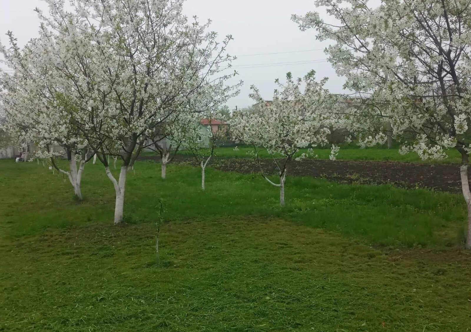 Участок 35.06 сотки, Котельва: искусственное озеро, колодец и скважина, фото 5