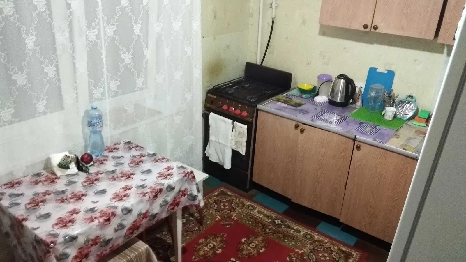 Чешка, Лазурный: «єОселя», «єВідновлення», фото 5