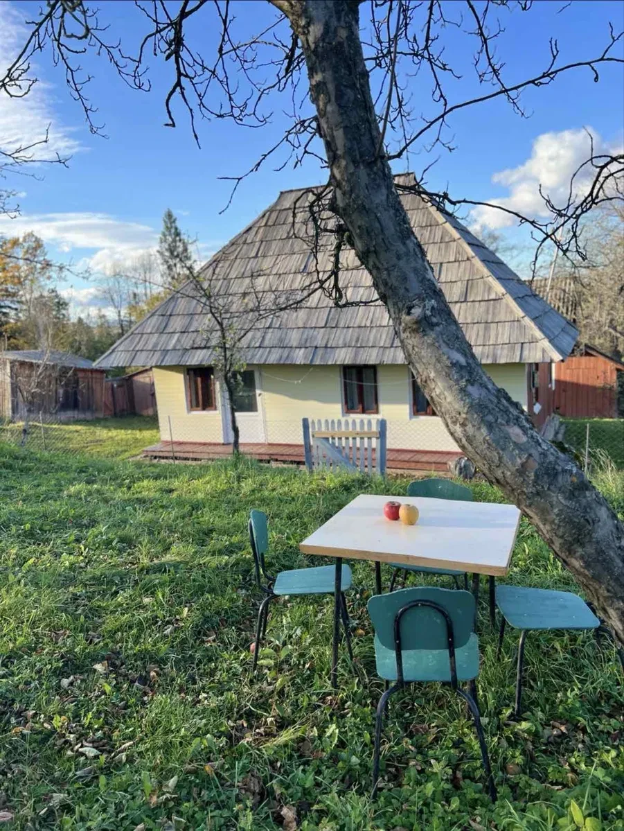 Ділянка 104,62 соток, Берегомет: будинок, господарські будівлі - фото 2