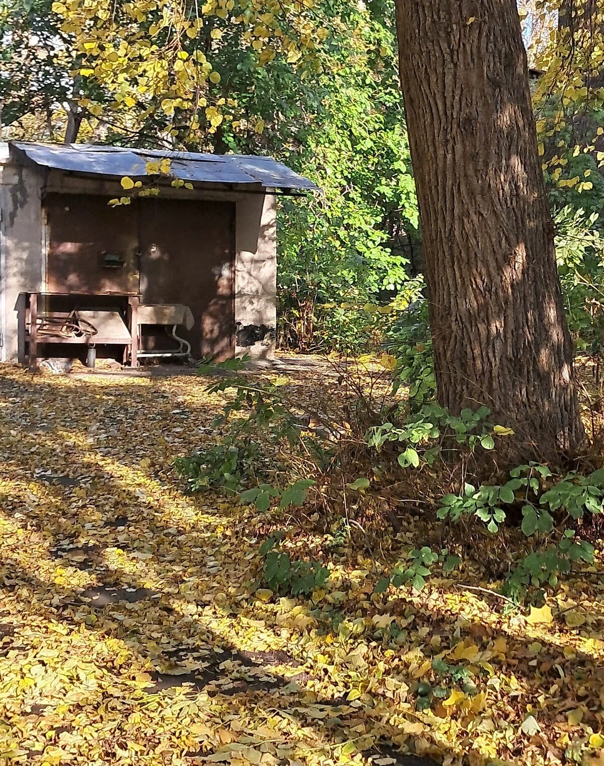 Ділянка 10 соток, Лук'янівка: під житлову забудову, сад - фото 3