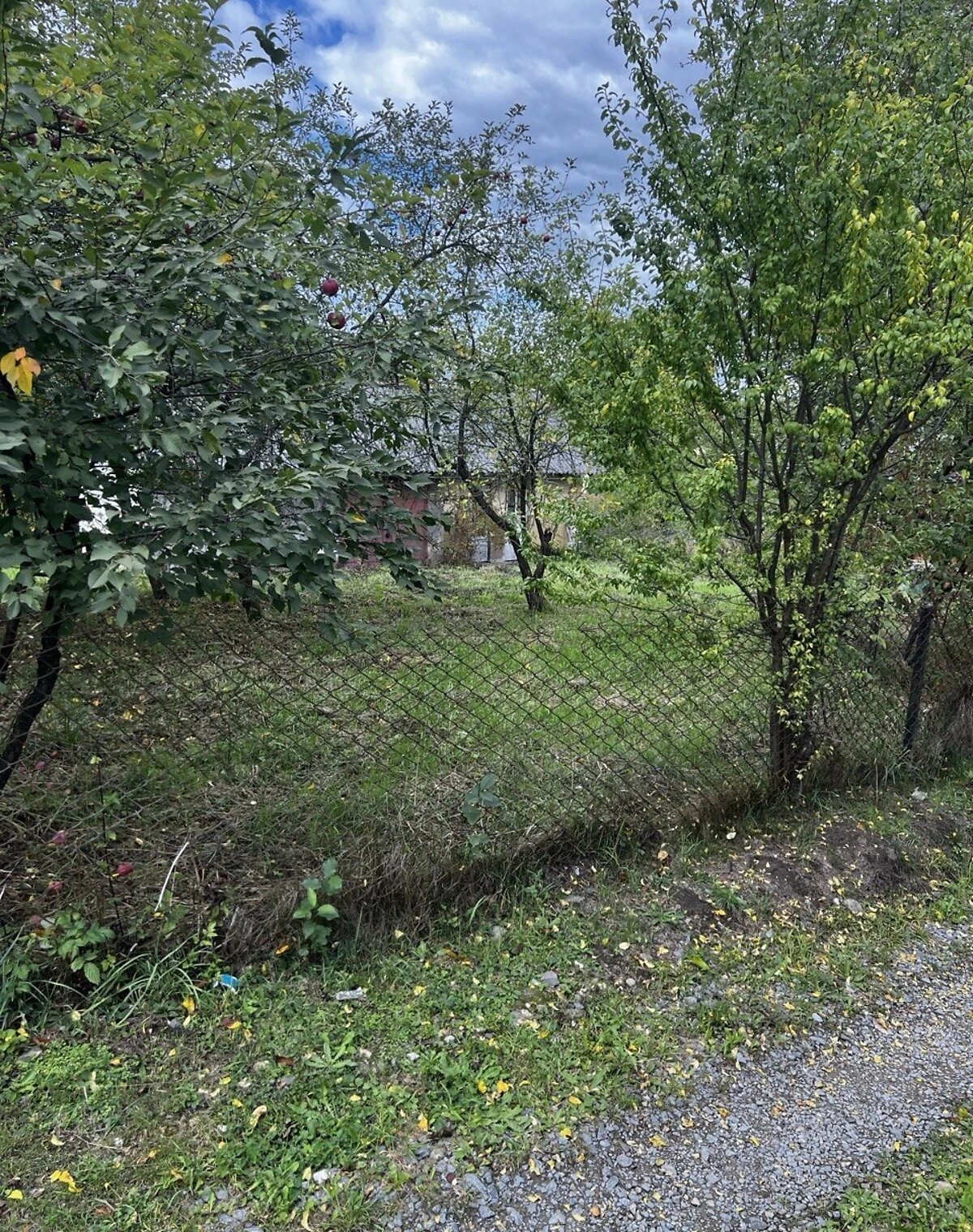 Будинок, Солець: ділянка 18 соток, гараж, веранда, фото 5