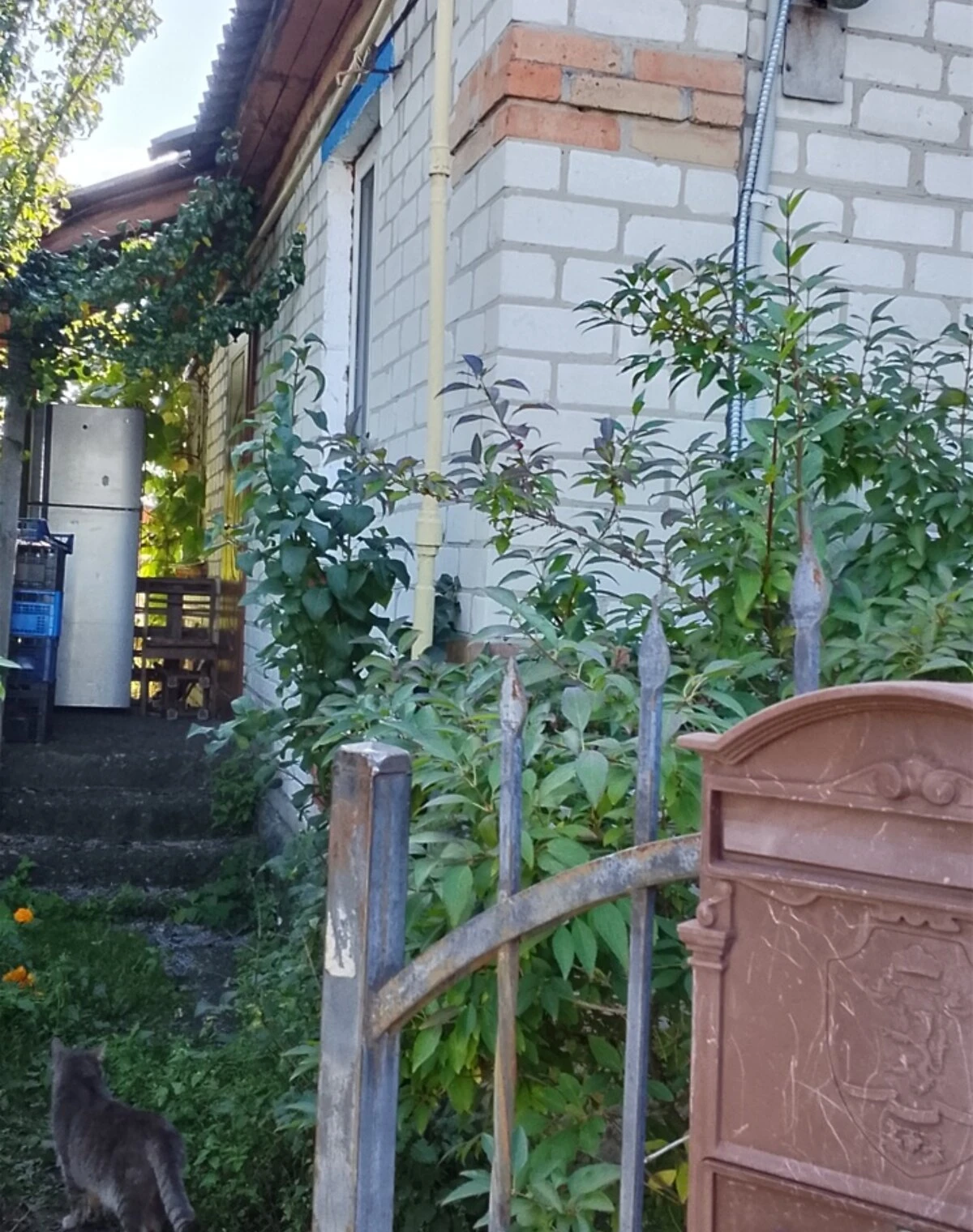 Будинок, Сукачі: ділянка 12 соток, можливий торг - фото 1