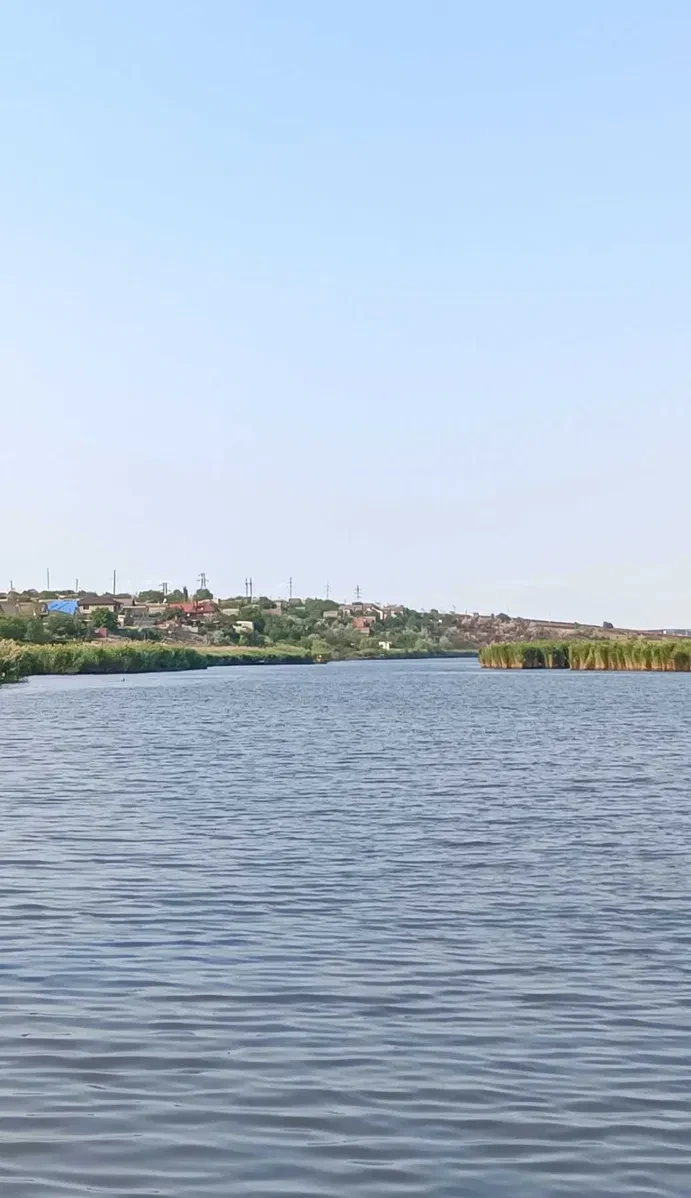 Дача, Інгульський: коробка з піноблоків, 200 м до річки Інгул - фото 5