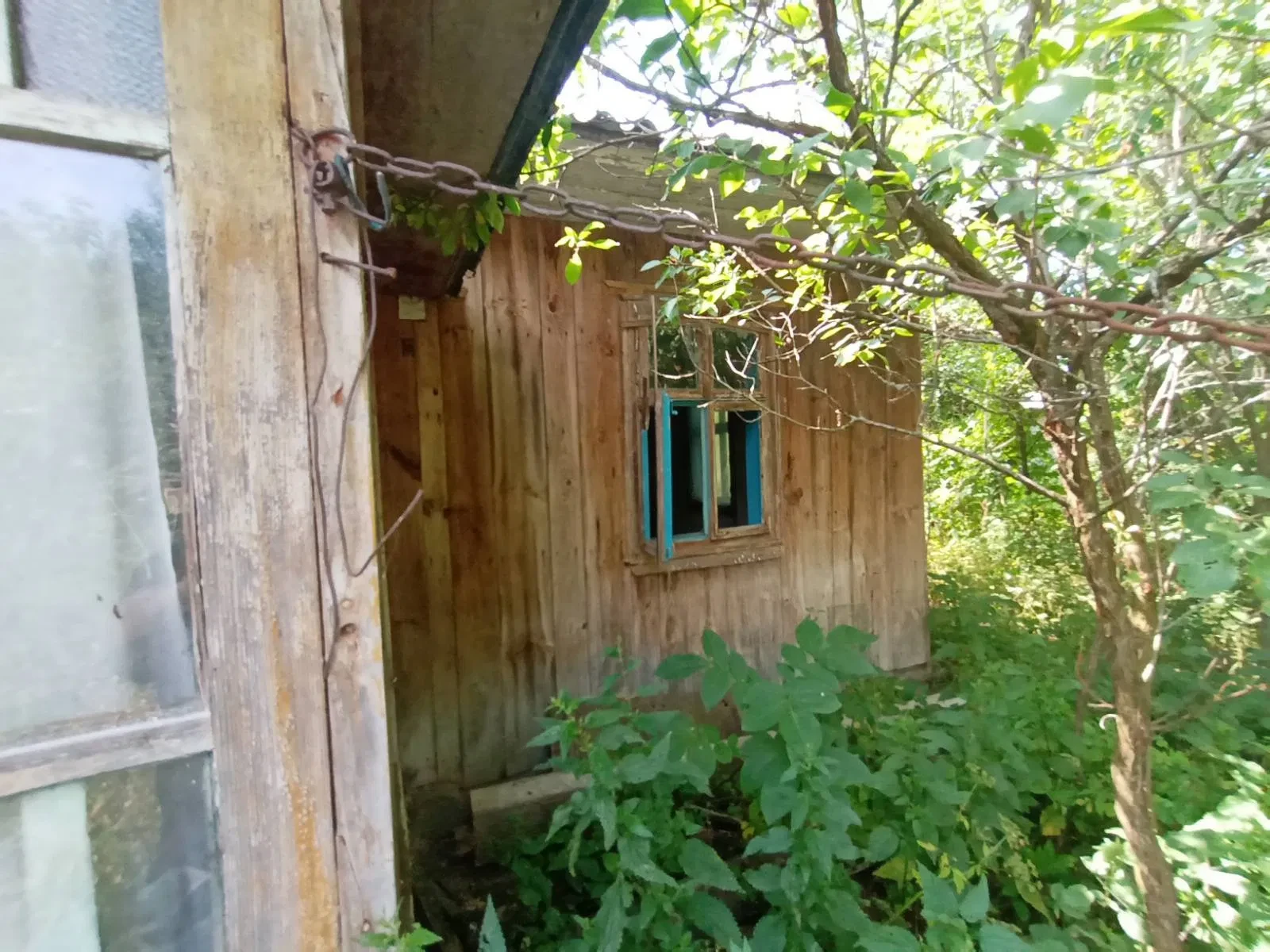 Будинок, Переволочна: глибокий погріб як укриття, сад і город - фото 2