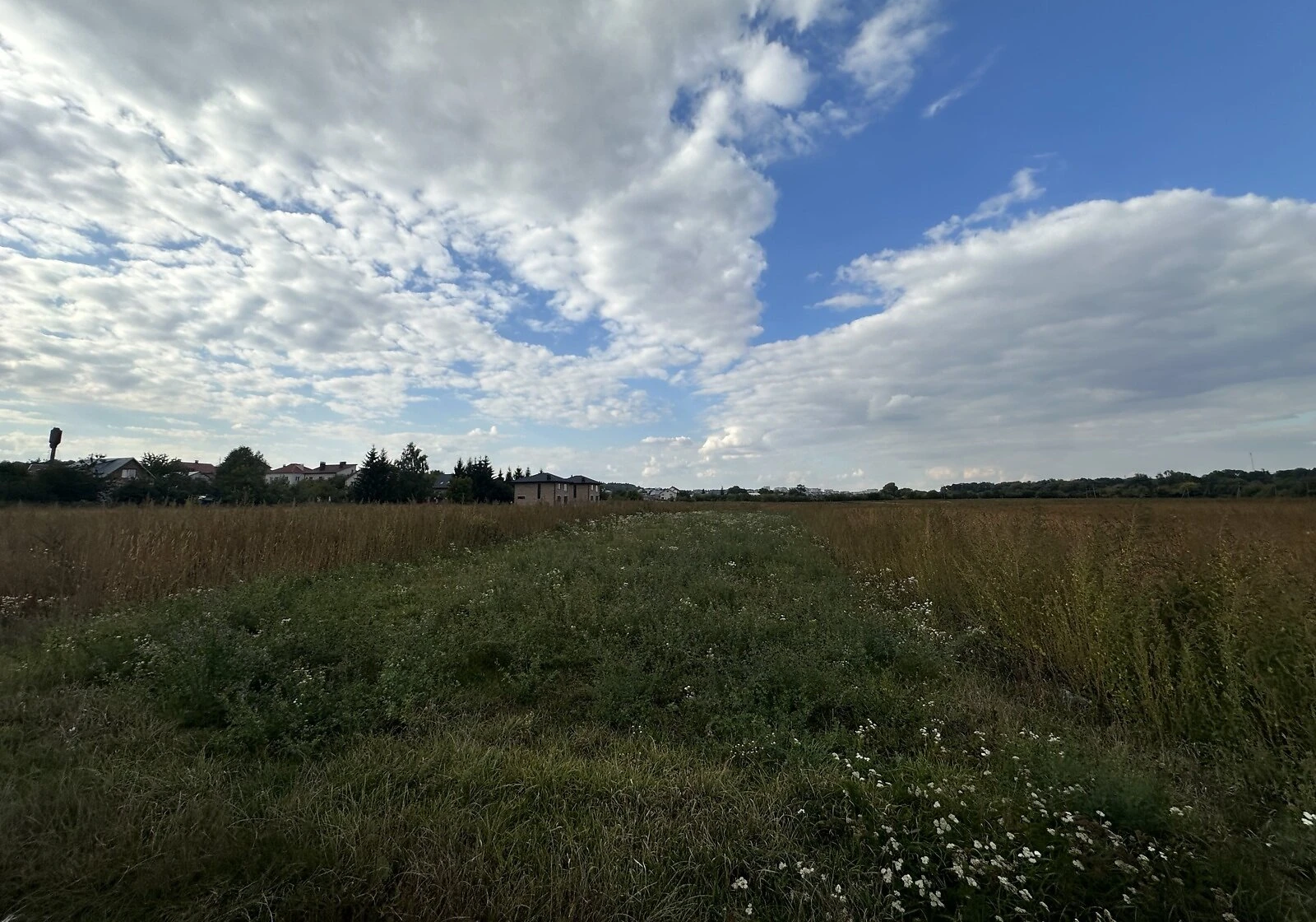 Ділянка 10 соток, Петриків: під житлову забудову, електрика, фото 4