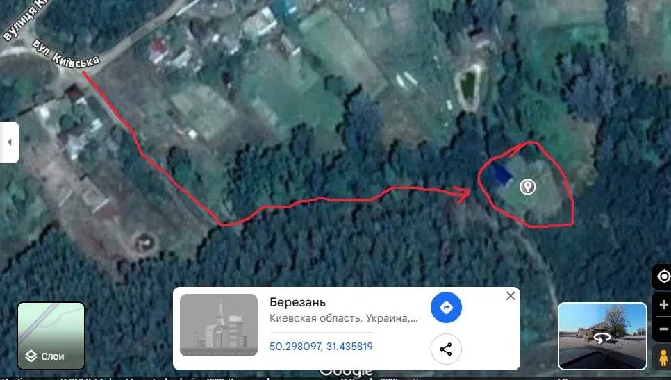 Дача, Березань: 120 соток, без сусідів, сосновий бір, фото 5