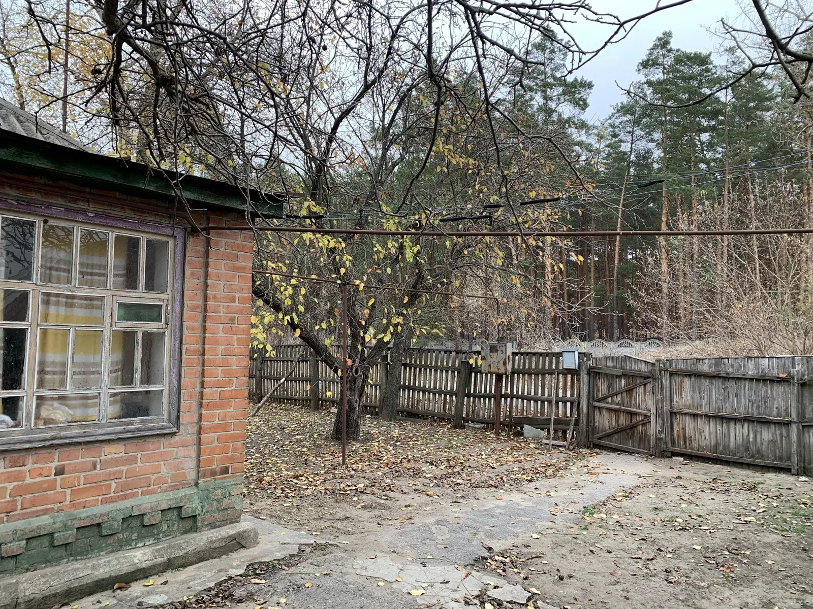 Дом, Головач: 19 соток, у соснового леса, река в 300 м, фото 4