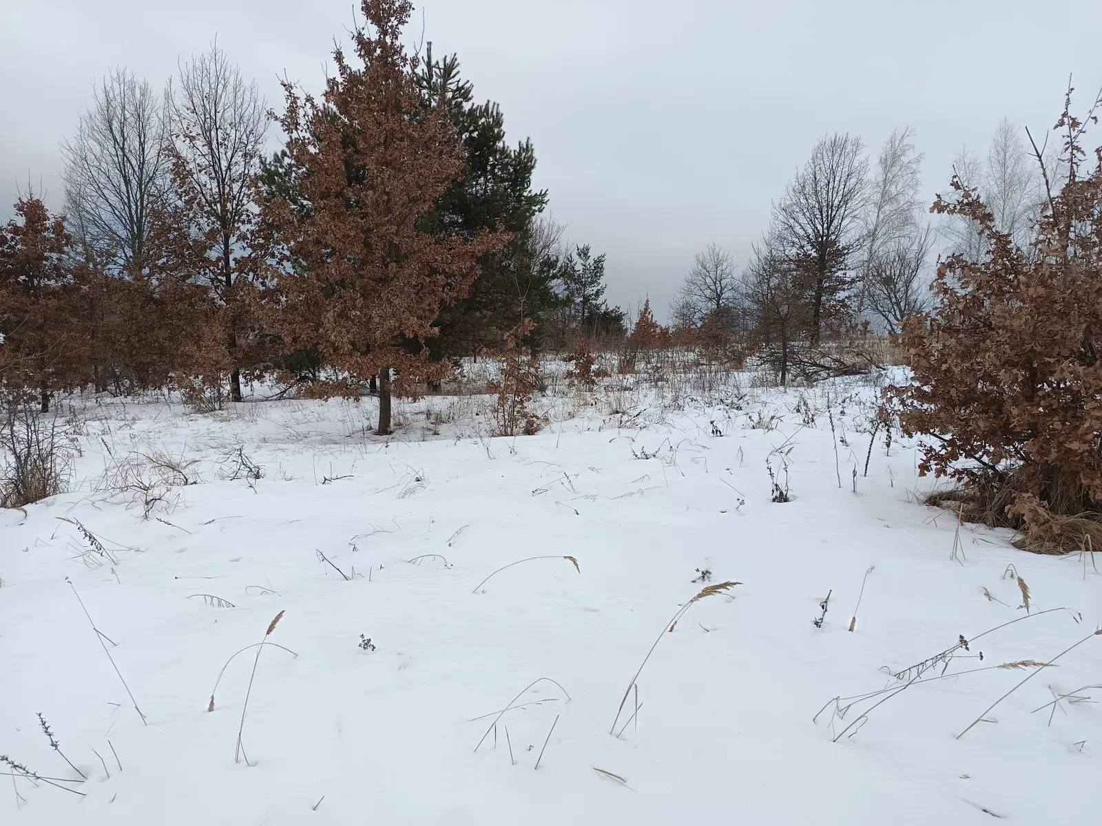 Ділянка 16.67 соток, Михайлівка-Рубежівка: біля озера, кутова, фото 5