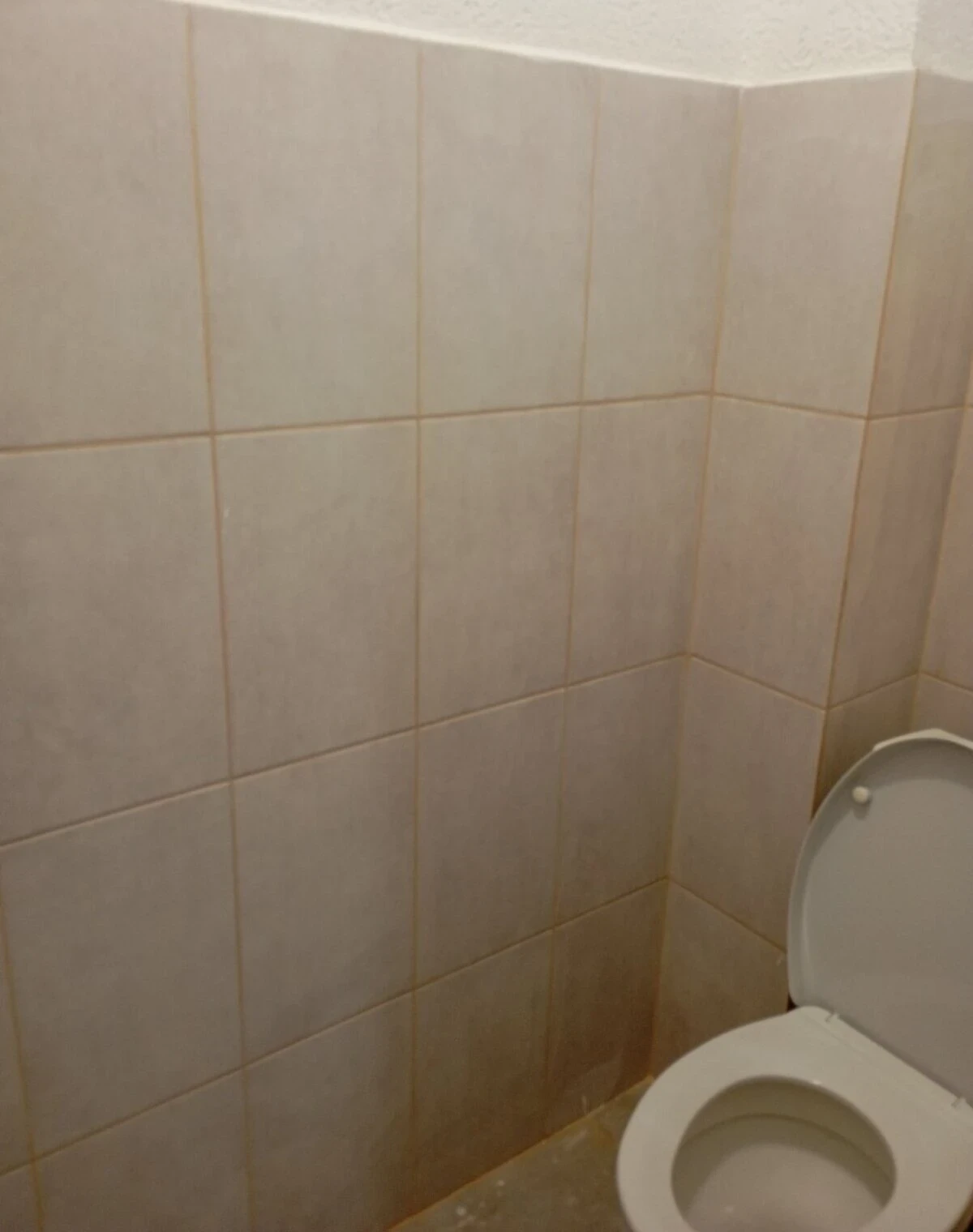 2-кімнатна квартира, Боздош: 2 санвузли, газове опалення - фото 5