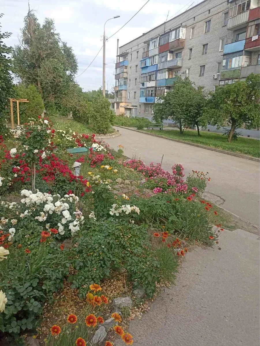 1-кімнатна квартира у ЖК Цегельна 8: у центрі міста - фото 2