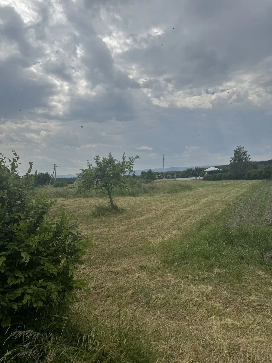 Ділянка 0.24 соток, Кобаки: фундамент, три фази світла, фото 5