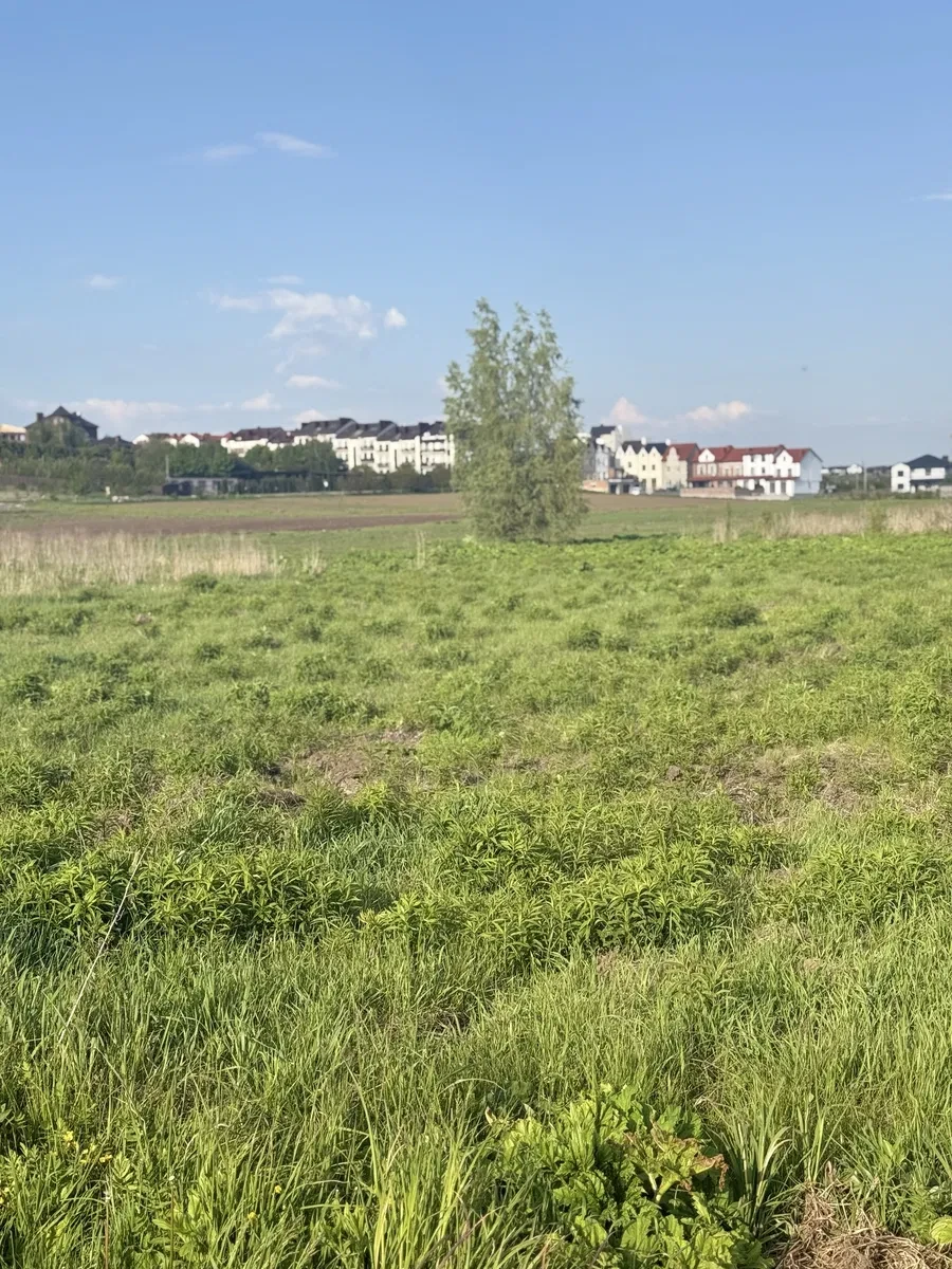 Ділянка 10 соток, Новий Двір: під житлову забудову, комунікації поруч - фото 2