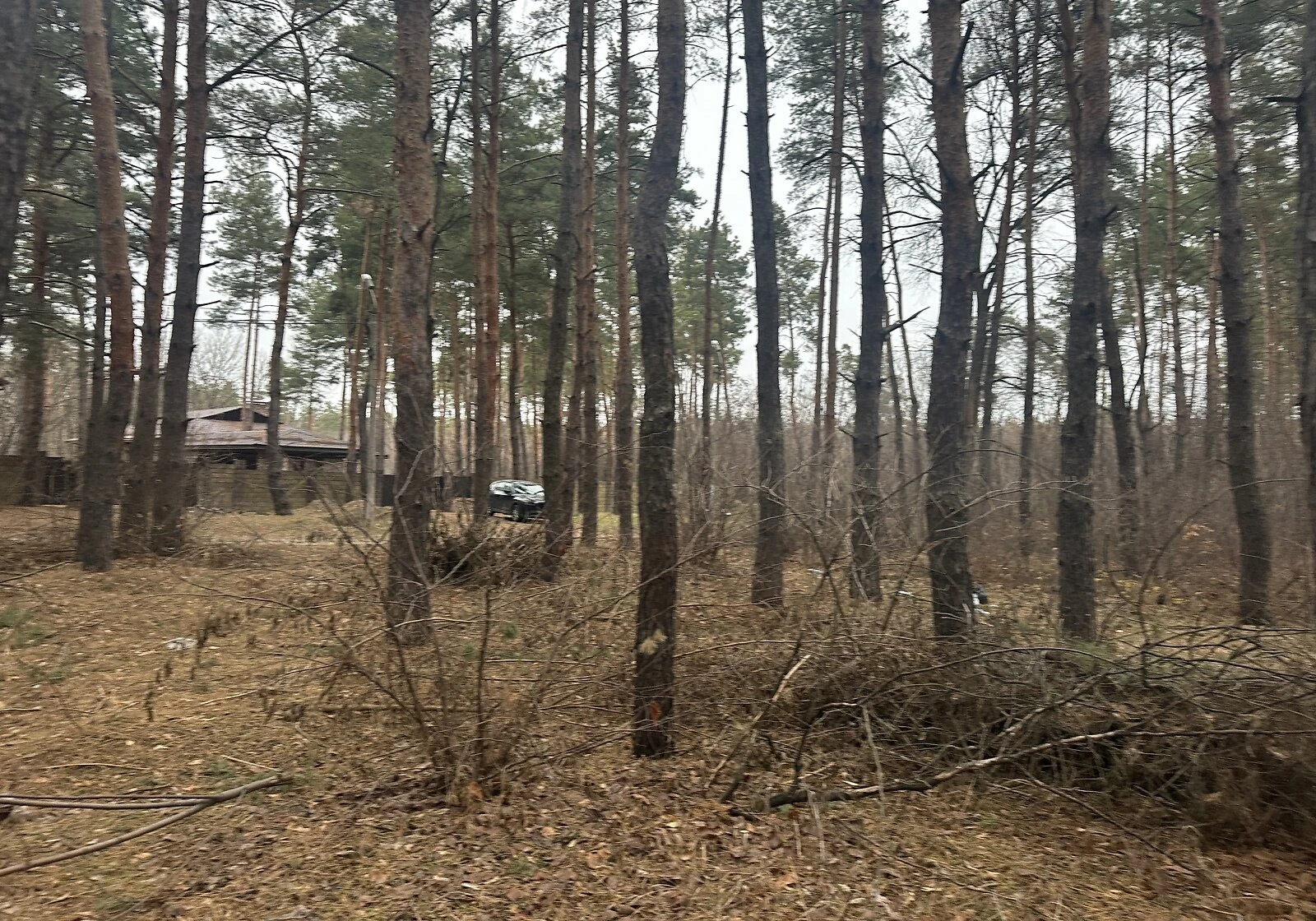 Ділянка 25 соток, Піщанка (Дніпро): під житлову забудову, під гараж, фото 5