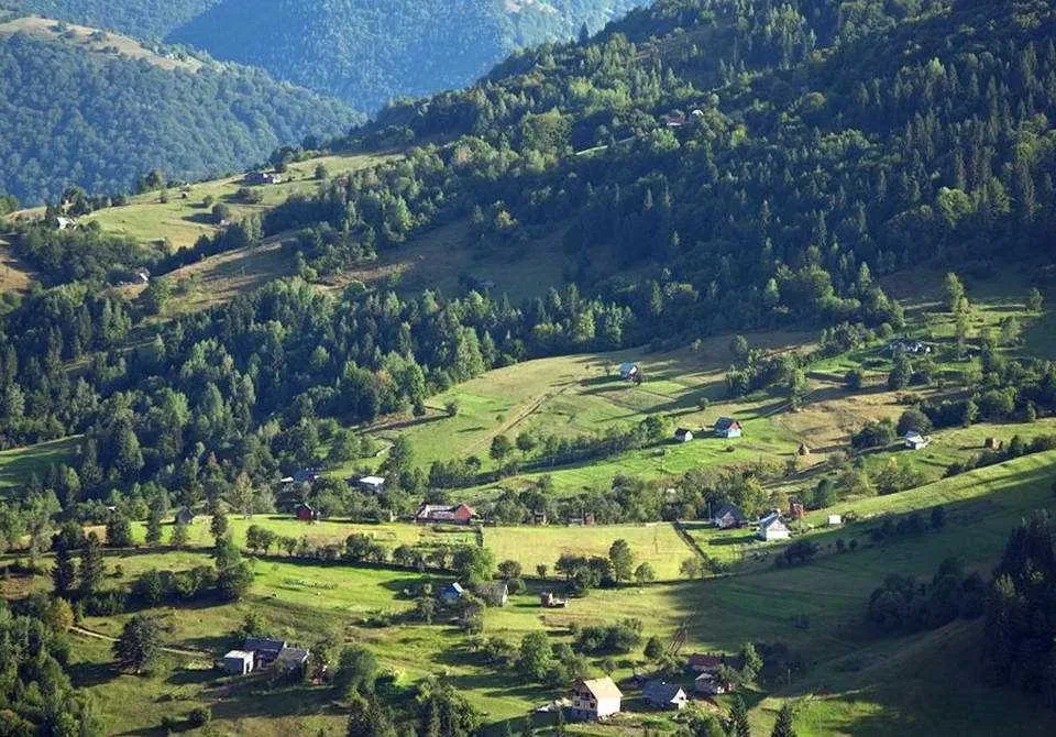 Ділянка 8,5 соток, Кваси: під житлову забудову, дві ділянки поруч - фото 5