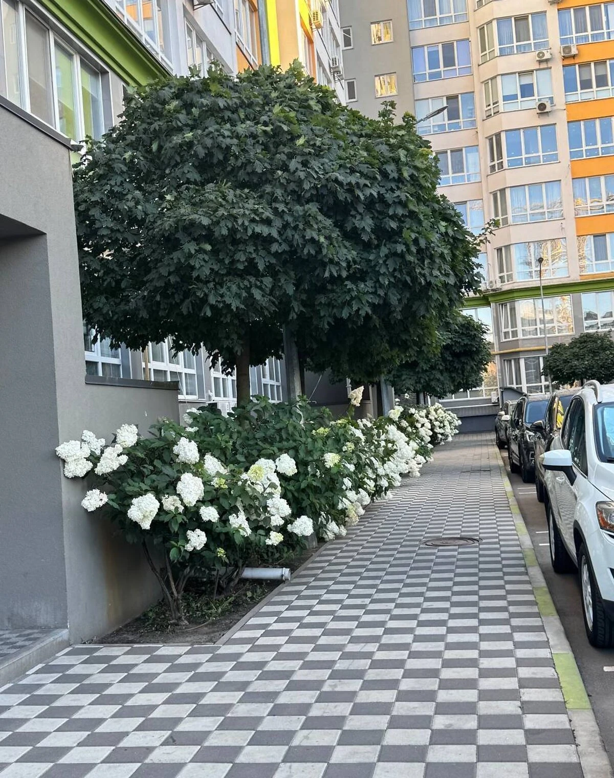 2-кімнатна квартира, Крюківщина: кухня-студія, без ремонту - фото 2