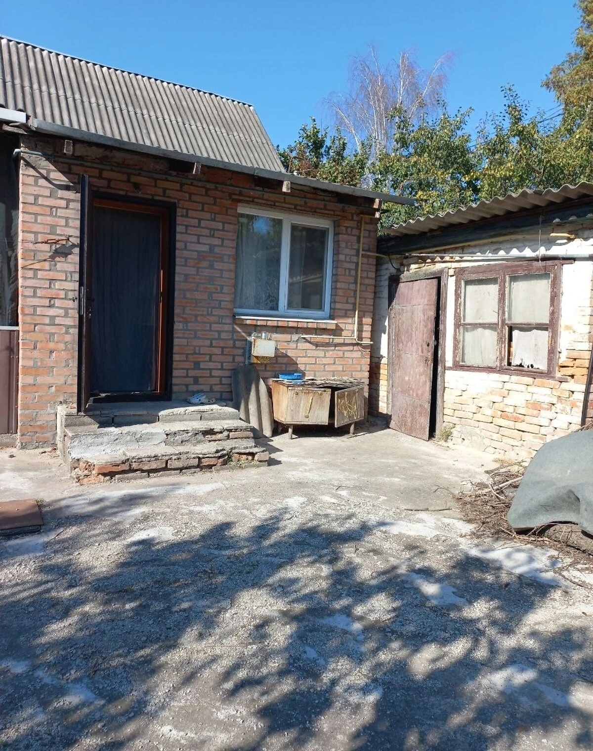 Дом, Новая Балашовка: гараж с подвалом, сад и летняя кухня - фото 3