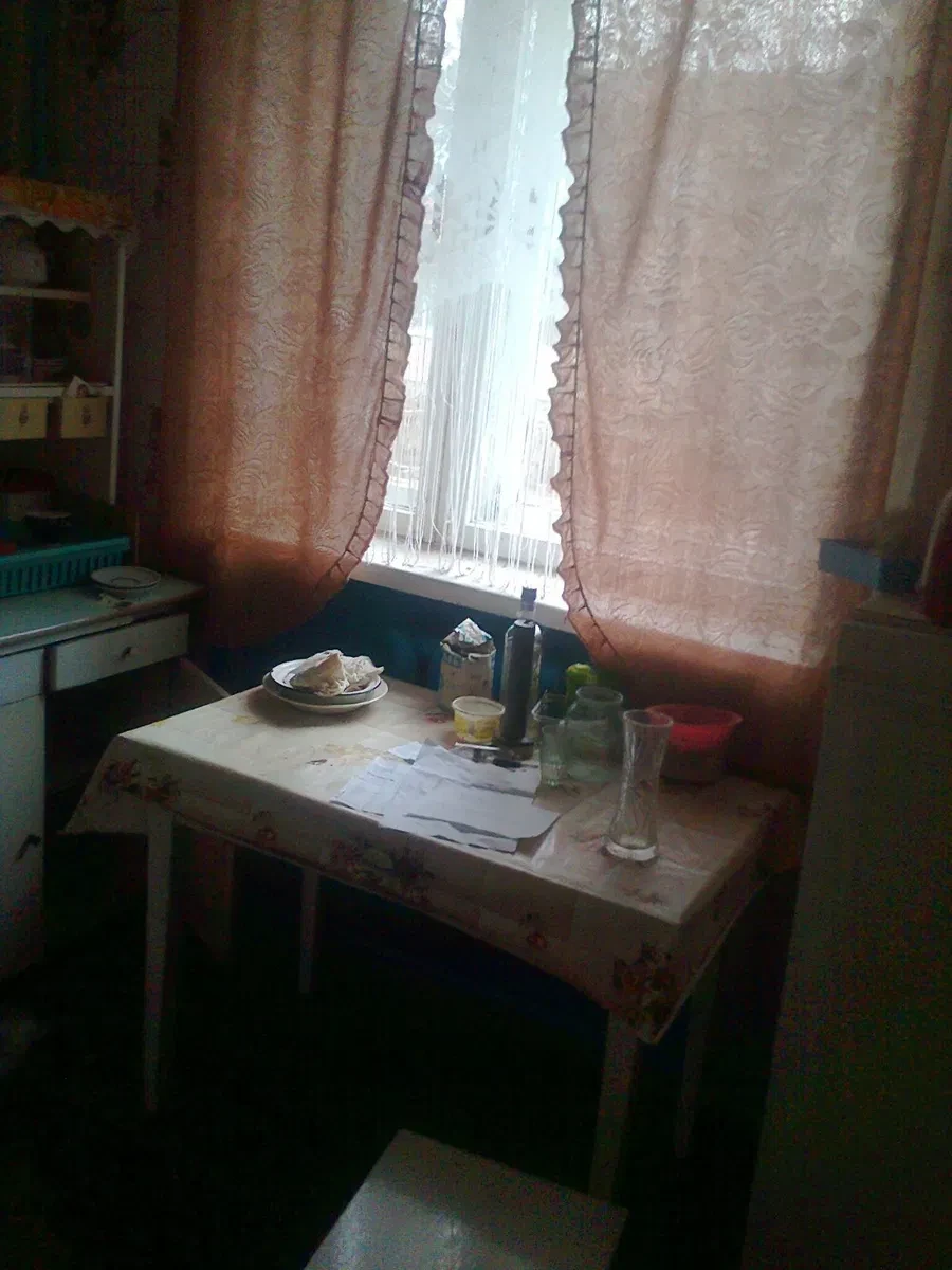 2-кімнатна квартира, Михайлівка: ділянка під вікном, гараж, фото 4