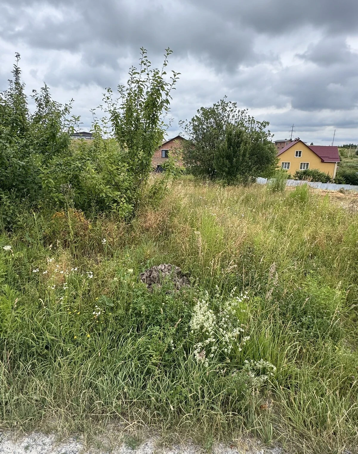 Ділянка 10 соток, Лісові Гринівці: чорнозем, під житлову забудову - фото 4