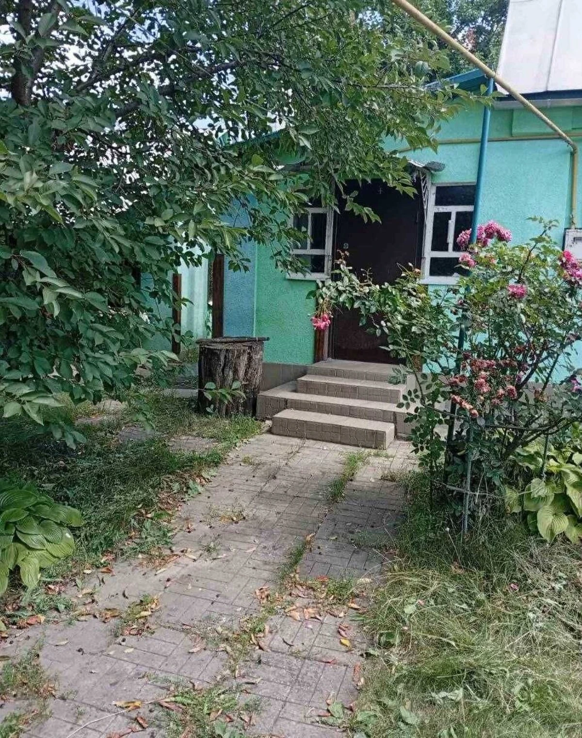 Будинок, Качанове: ділянка 60 соток, гараж у дворі - фото 1