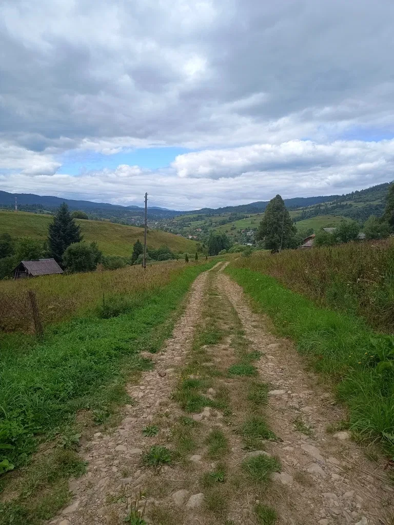 Ділянка 27.50 соток, Орява: біля комплексу Плай, межує з лісом - фото 3