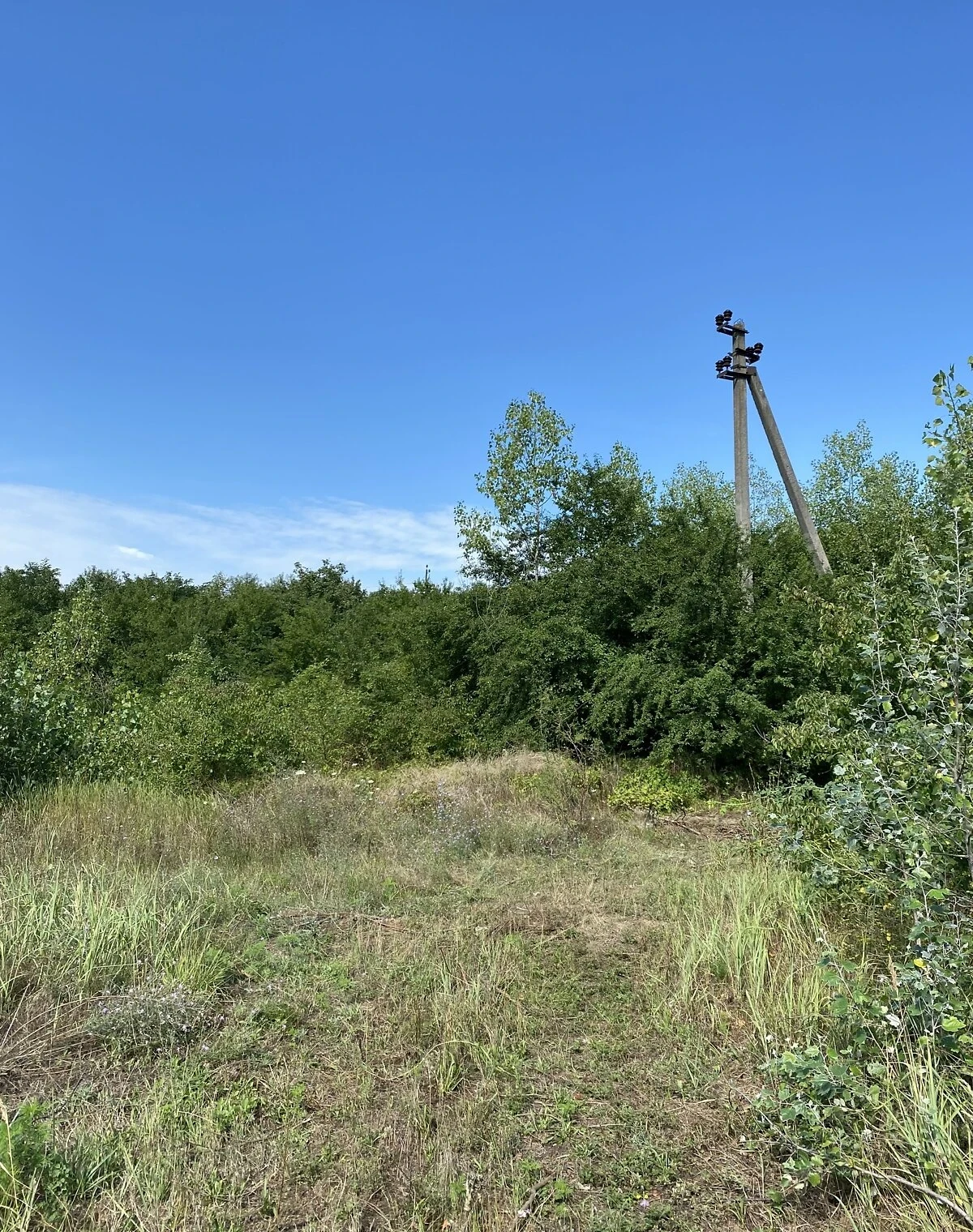 Склад, Чепа: 3.36 га земли, недострой, фото 4