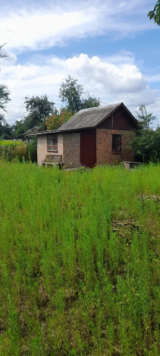 Будинок, Подусівка: приватизована земля, погріб і 2 сараї - фото 1