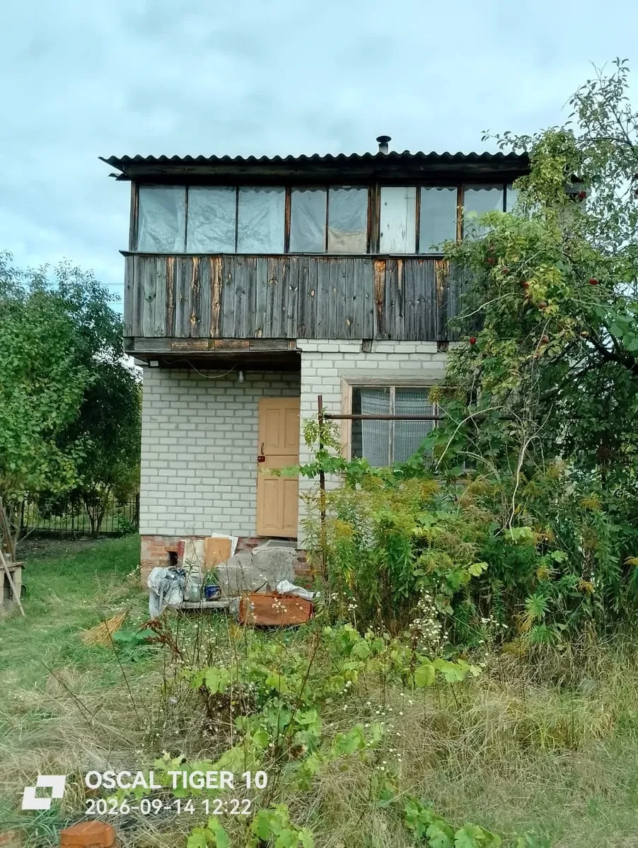 Дача, Березанка: вода зі свердловини, цоколь із погребом - фото 1