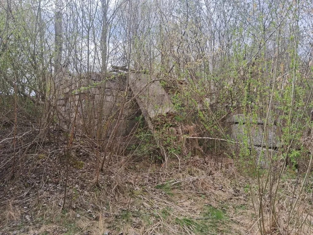 Будівля котельні, Залізці: берег річки Серет, кранбалка - фото 2