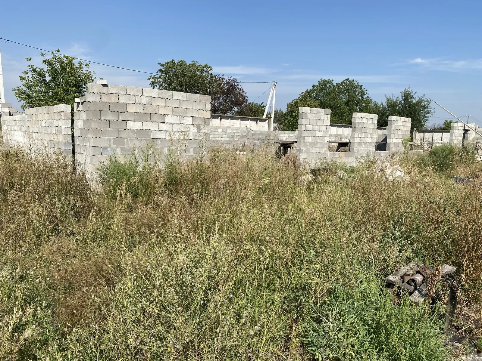 Ділянка 30 соток, Курилівка: виноградник, будинок-баня, 1200 м² - фото 5
