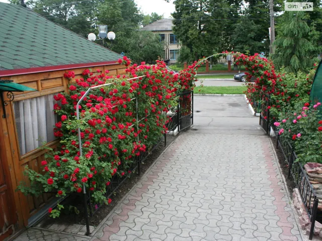 Приміщення, Гадяч: дизайнерський ремонт, вода й опалення без світла - фото 4