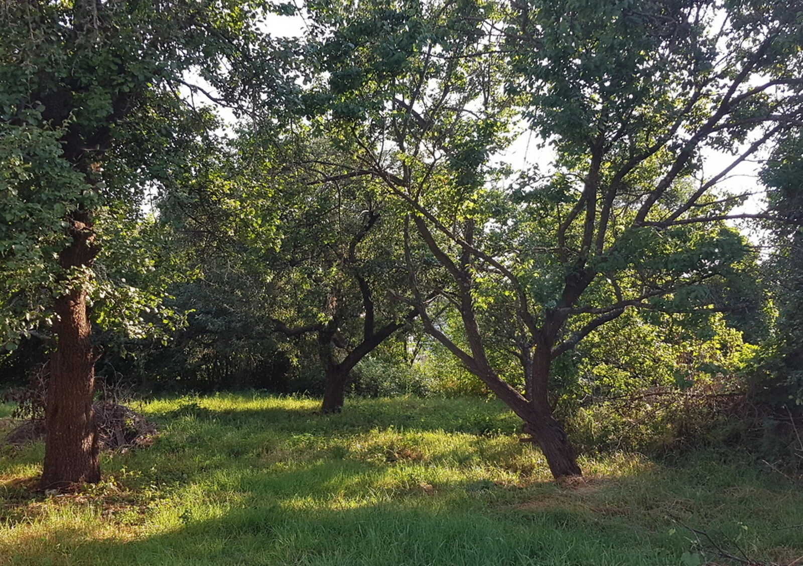 Будинок, Пісочин: бесідка, ділянка 1500 м², газове та пічне опалення - фото 4