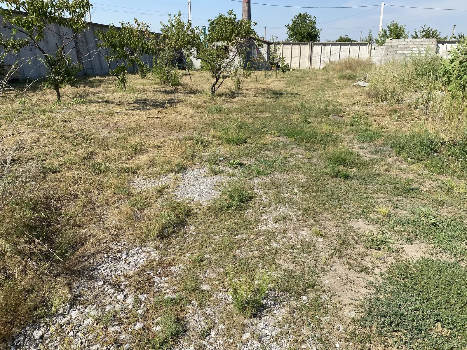 Ділянка 30 соток, Курилівка: будинок-баня 65 м², виноградник - фото 3