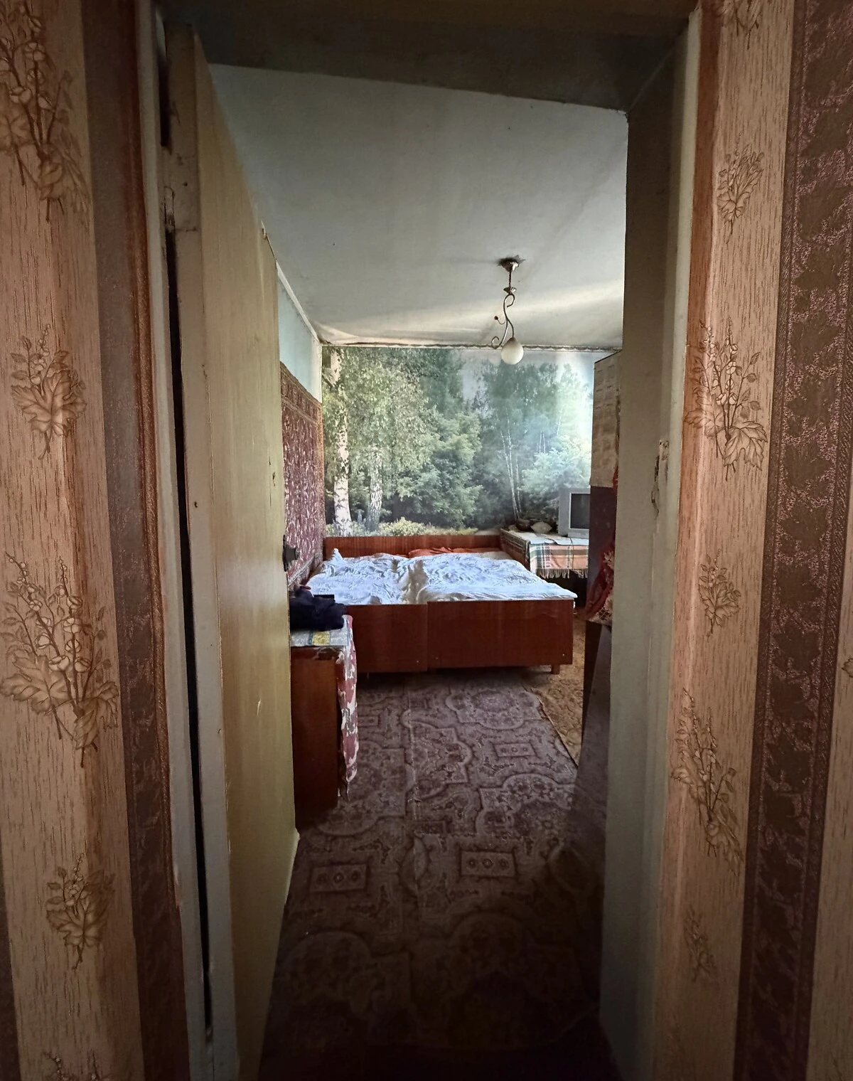 3-кімнатна квартира, Циблі: опалення працює без світла, балкон, фото 5