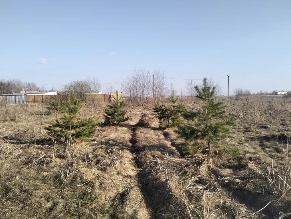 Ділянка 10 соток, Глибочиця: Гостинний двір, обмін на авто - фото 4