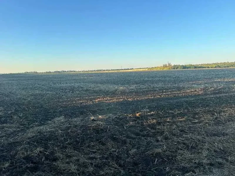 Ділянка 1 000 соток, Підгородне: сільськогосподарського призначення - фото 3