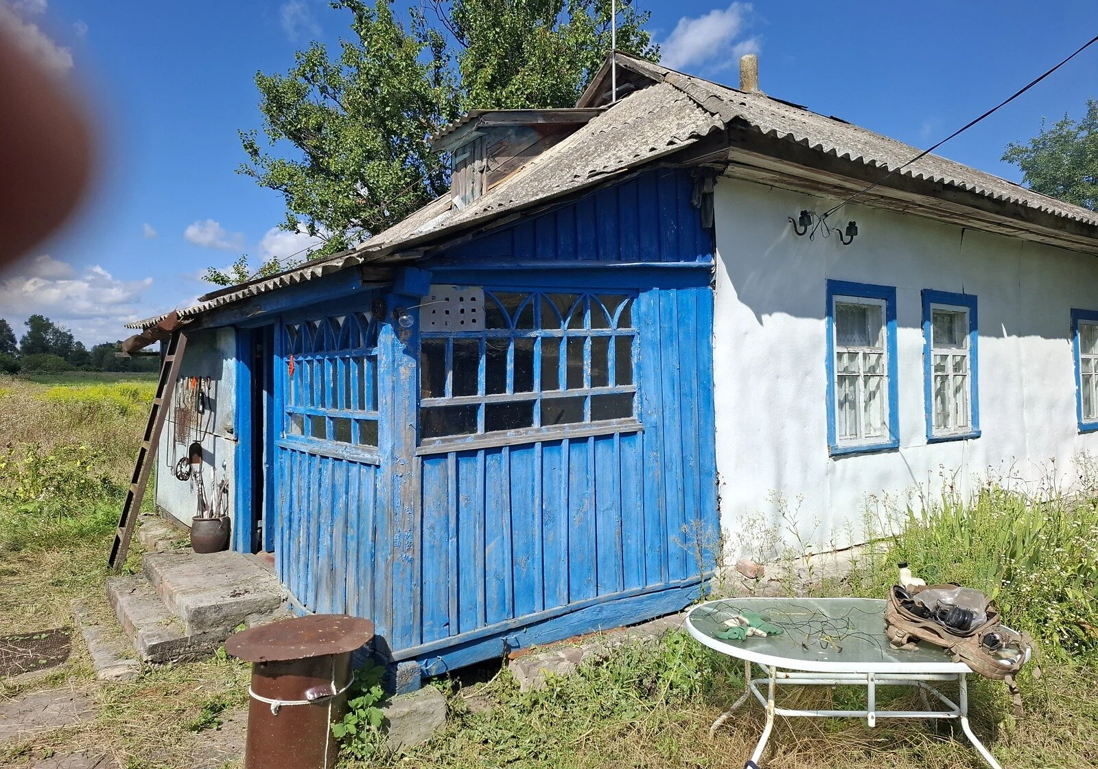 Будинок, Надинівка: гараж із підвалом, 25 соток - фото 1
