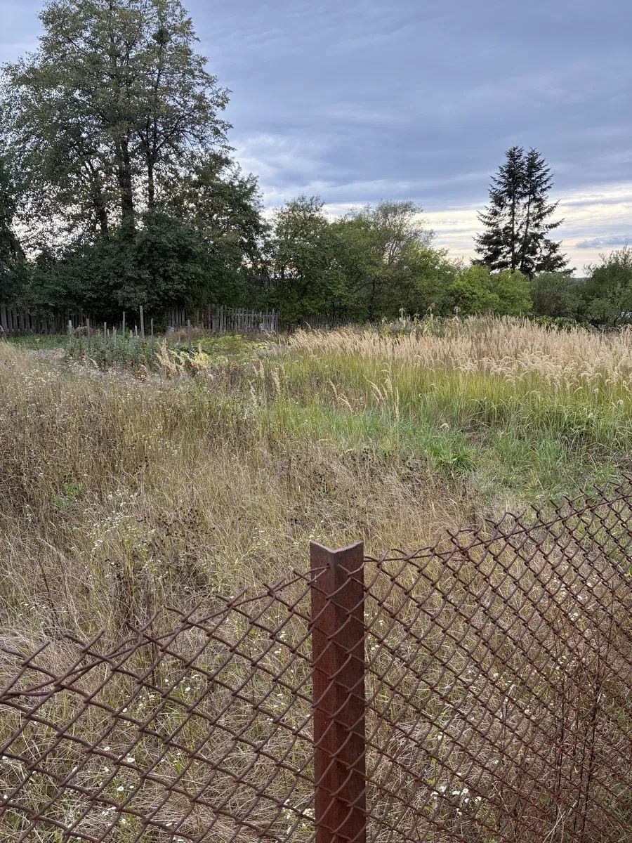 Участок 12,15 соток, Крихивцы: под застройку, асфальтированный заезд - фото 3